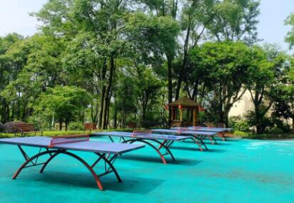 重庆九龙坡区养老院有几家（九龙坡区好养老院价格）