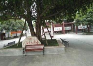 重庆大渡口区凯尔心怡老年公寓_重庆大渡口区失能老人老年公寓名单