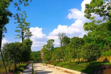 重庆御风天地森林康养庄园_重庆渝北区五星级养老院地址在哪,渝北养老院排名