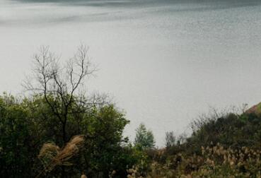 重庆爱林居托老中心环境图片