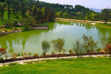 重庆御风天地森林康养庄园_重庆全护理老年公寓多少钱,重庆全护理养老院价格