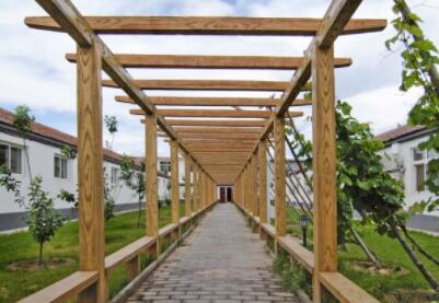 重庆龙头寺福缘老年公寓环境图片