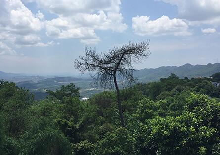 重庆南岸区南山松翠园老年公寓环境图片