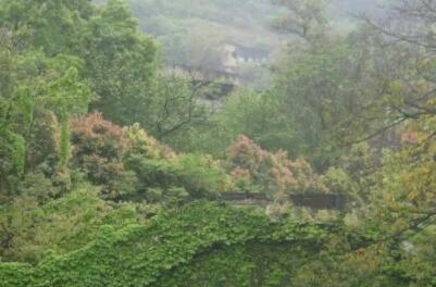 北碚区万家福养老护理中心环境图片