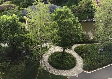 上海市闵行区华哈养老院环境图片