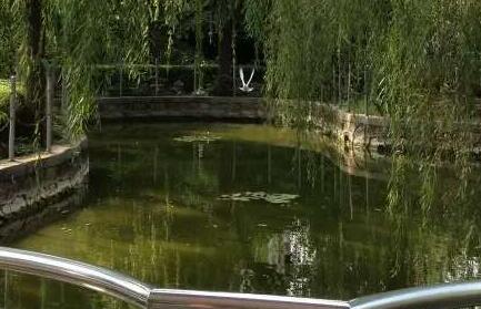 上海市闵行区大华福利院环境图片