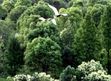 上海市崇明县嘉龙养老院_上海一般老年公寓目录,上海老年公寓价格查询