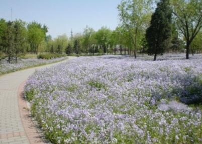 北京市朝阳区健生养老院