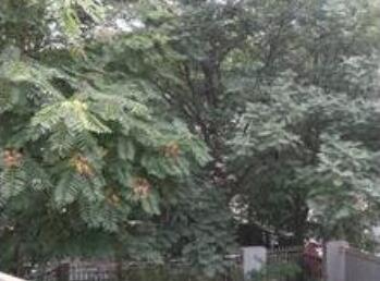 北京福瑞康失能老人护理中心_北京朝阳区全护理养老院收费价格表