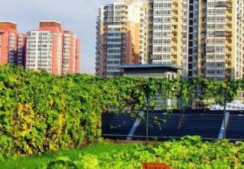 龙振劲松AD老年家园环境图片