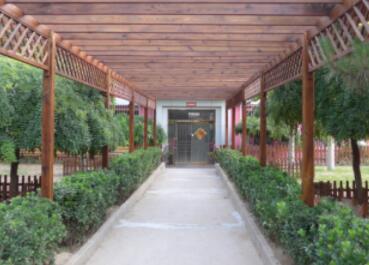 重庆大渡口区养老院价格(大渡口养老院分布位置)