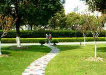 2020年青杠养老院收费标准介绍！