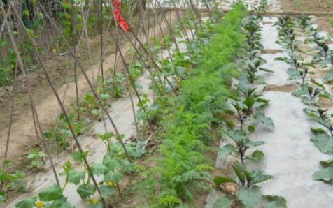 北京市海淀区桐福敬老院_北京海淀区民办养老院