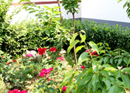 北京市怀柔区东方古本养老院环境图片