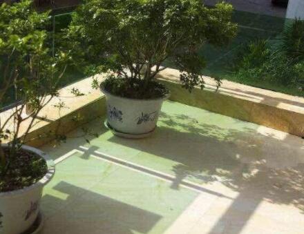 三亚隆富老人之家度假公寓_三亚老年痴呆照护养老社区,三亚老年痴呆托老所