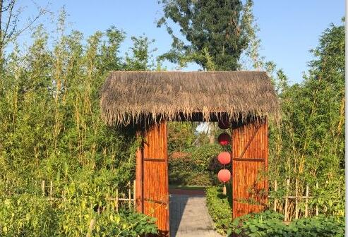 成都泰康之家·蜀园环境图片