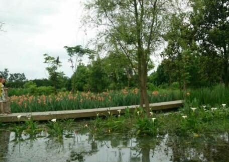 苏州老年公寓价格和排名一览表