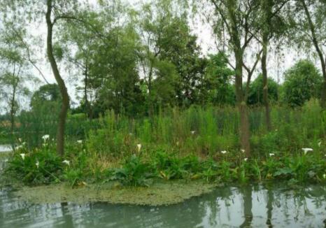 苏州姑苏区养老院有哪些？