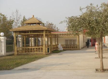 天津市河西区五福养老院环境图片