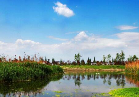 蜀国鹃都养老服务中心_成都环境好的老年护理院,成都养老院的排名