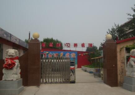 天津市东丽区福鑫顺养老院_天津豪华养老社区,天津豪华养老社区在哪