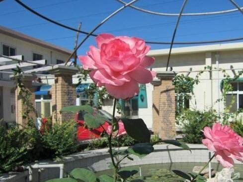 天津市艺雅老年公寓_天津西青区民办老年公寓有哪些,天津市西青区老年公寓