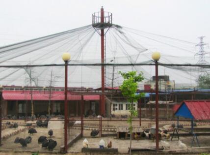 天津津南区颐养院环境图片