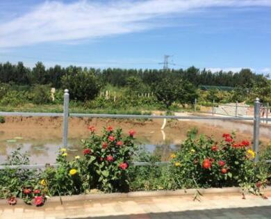 天津市北辰区凯达老年公寓环境图片