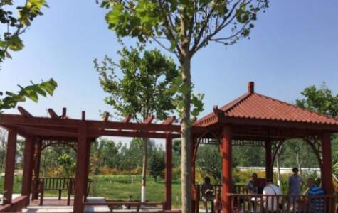 石家庄市老年养护院环境图片