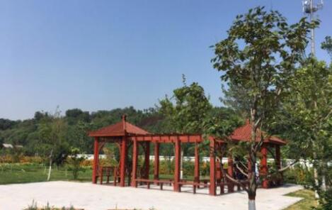 石家庄市老年养护院环境图片