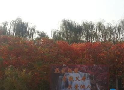 沈阳世外桃源老年养护中心_沈阳全护理养老院,沈阳护理养老院地址