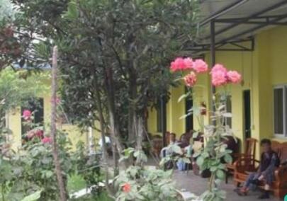 哈尔滨南岗区养老院有哪些？