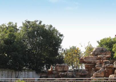 合肥市庐阳区为民养老院_合肥全护理养老社区多少钱,合肥社区养老服务模式