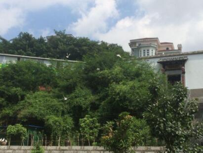 福州西园老年公寓_福州性价比高的养老社区,福州地区的养老机构有哪些