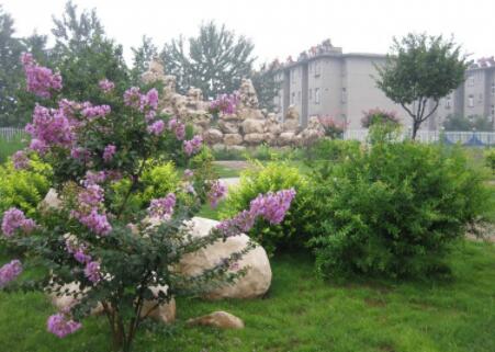 济南鸿泰缘颐养中心_济南8000元养老院,济南养老院哪家最好