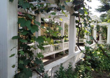 中原区中心敬老院（福佑山庄）_郑州8000元养老院,郑州市养老院价格表