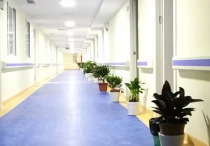 武汉九州通逸仙养老院_武汉豪华养老院,武汉豪华养老院收费标准