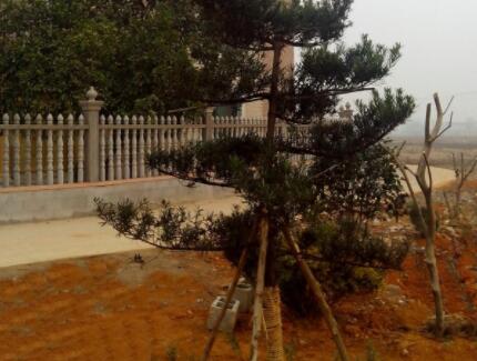 长沙浩民养老院环境图片