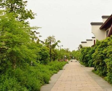 杭州市皋亭山养老院环境图片