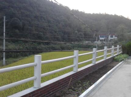 莲花镇闲人养老家庭式公寓环境图片