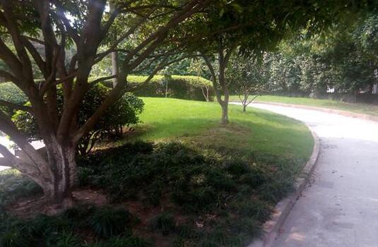 杭州松龄苑老人公寓环境图片