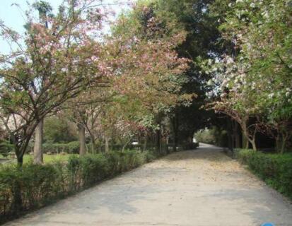 南宁市关爱养老院_南宁中高档养老院有哪几家,南宁市十大养老院