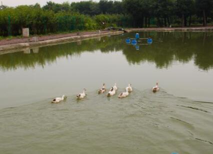 西安雁塔幸福之家老年公寓环境图片