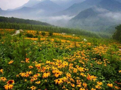 乌鲁木齐仁和老年公寓