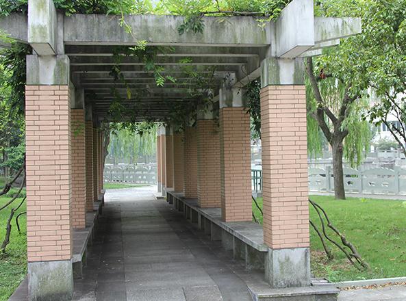 宁波颐乐园养老院_宁波高级的养老院,宁波高级养老院哪家比较好