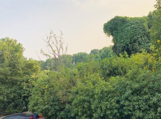 绍兴越城区鹤池苑老年公寓_绍兴附近养老院排名前十