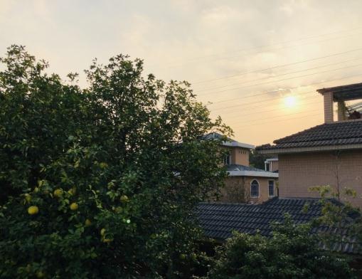 绍兴越城区鹤池苑老年公寓环境图片