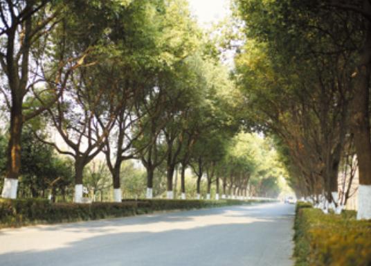  扬州市阿波罗颐养护理院环境图片