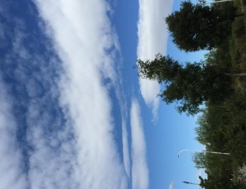  北戴河尧尧老年度假公寓_秦皇岛8000元老年公寓名单,秦皇岛养老公寓