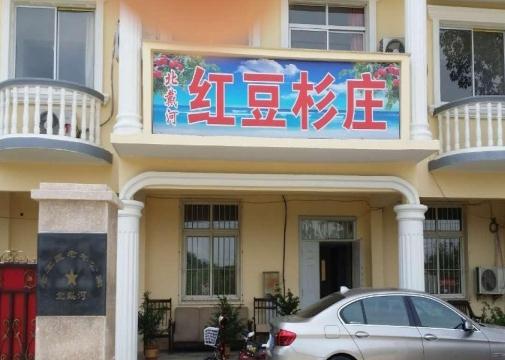  北戴河红豆杉癌症康养乐园_秦皇岛风景优美养老院有几家